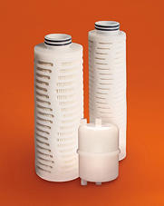 Protego® Plus LT Purifier